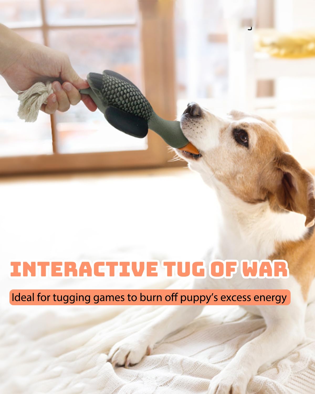 SCHITEC Squeaky Rope Dog Toys, Latex Rubber Squeak Duck Tug of War Toy, Interactive Play Puppy Stuffed Chew Toy for Small Medium Dogs