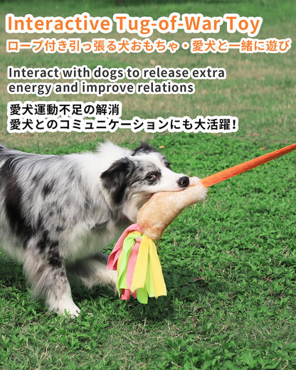 SCHITEC Dog Tug Toy, Bungee Tug of War Rope Toys with Squeaky Sound for Exercise & Interactive Play Games, Puppy Training Pull Toy for Small Medium Large Dogs