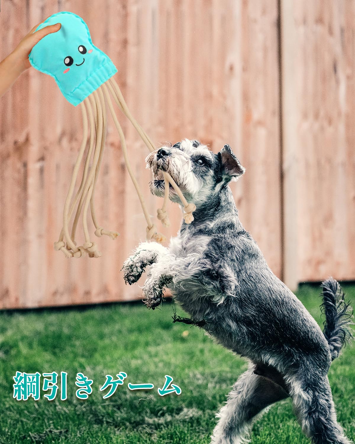 SCHITEC Dog Rope Toys, Plush Crinkle Tug of War Toy for Small Medium Large Dogs, Interactive Octopus Stuffed Chew Toy for Puppy Teething