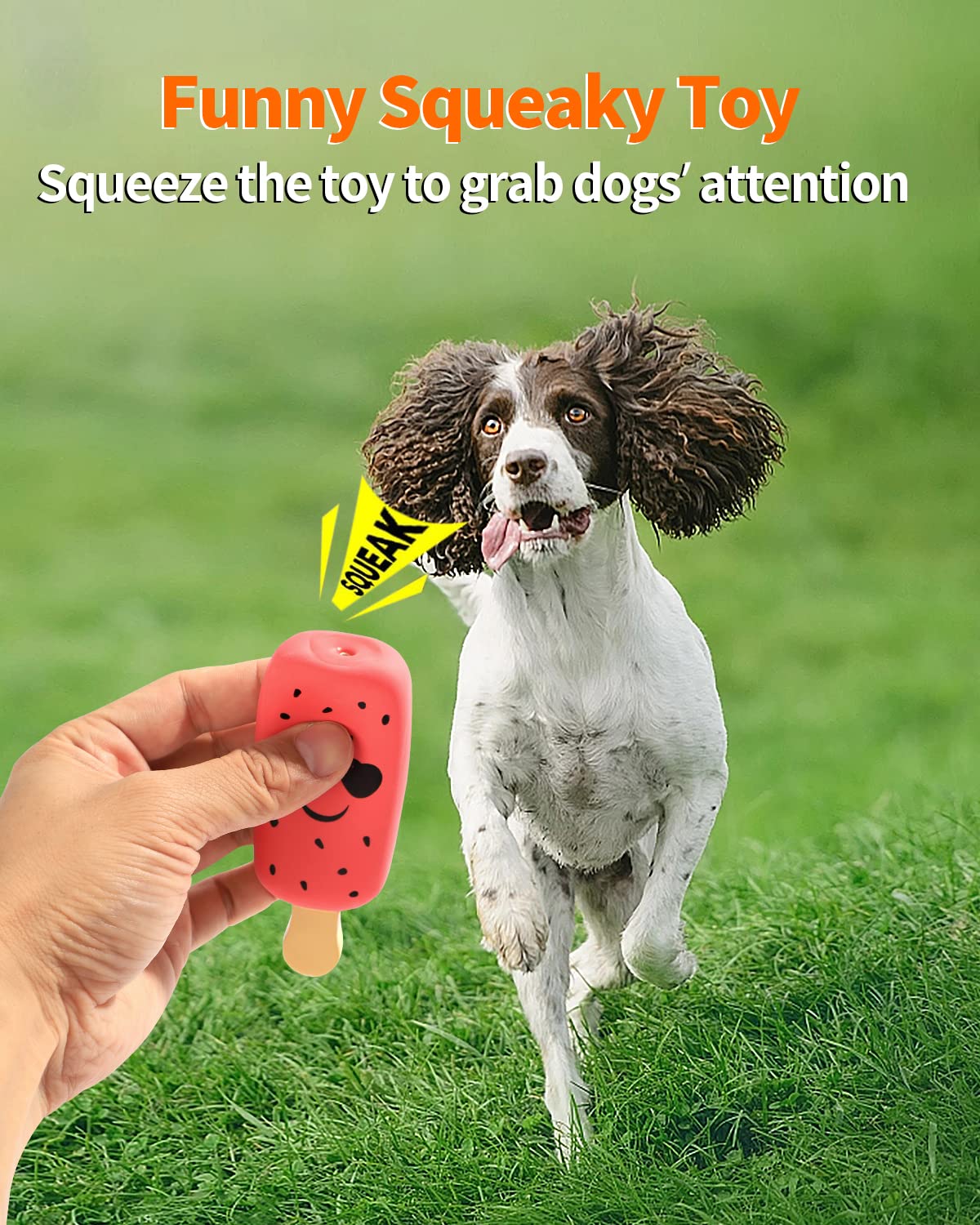 SCHITEC Squeaky Dog Toy, [4 Pack] Natural Latex Rubber Interactive Toys for Small Dogs Puppies
