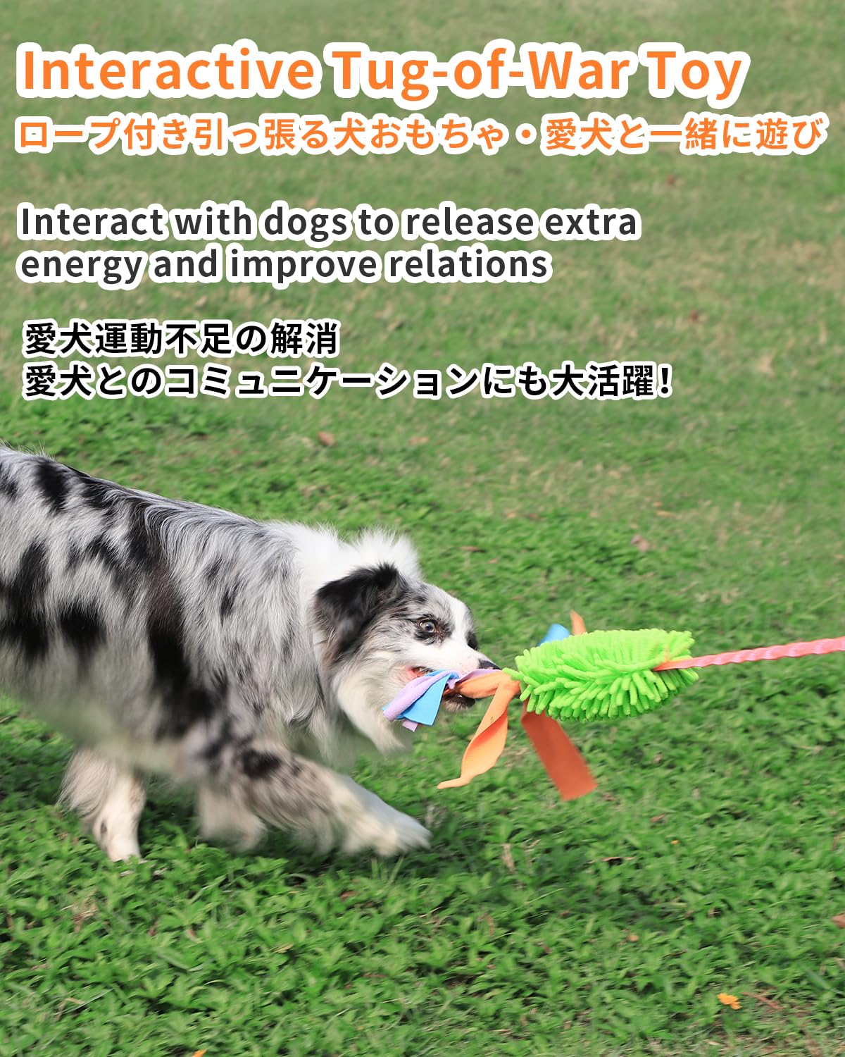 SCHITEC Tug Toy for Dogs, Bungee Tug of War Rope Toys with Squeaky Sound for Small Medium Large Dog, Puppy Training Pull Toy for Exercise & Interactive Play Games