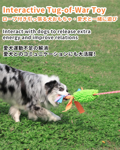 SCHITEC Tug Toy for Dogs, Bungee Tug of War Rope Toys with Squeaky Sound for Small Medium Large Dog, Puppy Training Pull Toy for Exercise & Interactive Play Games