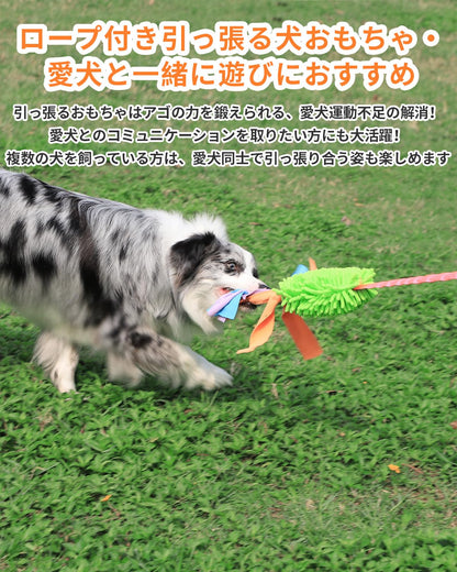 SCHITEC Dog Tug Toy, [2 Pack] Interactive Play Training Bungee Rope, Squeaky Tug of War Exercise Pull Toys for Puppy Small Medium Large Dogs