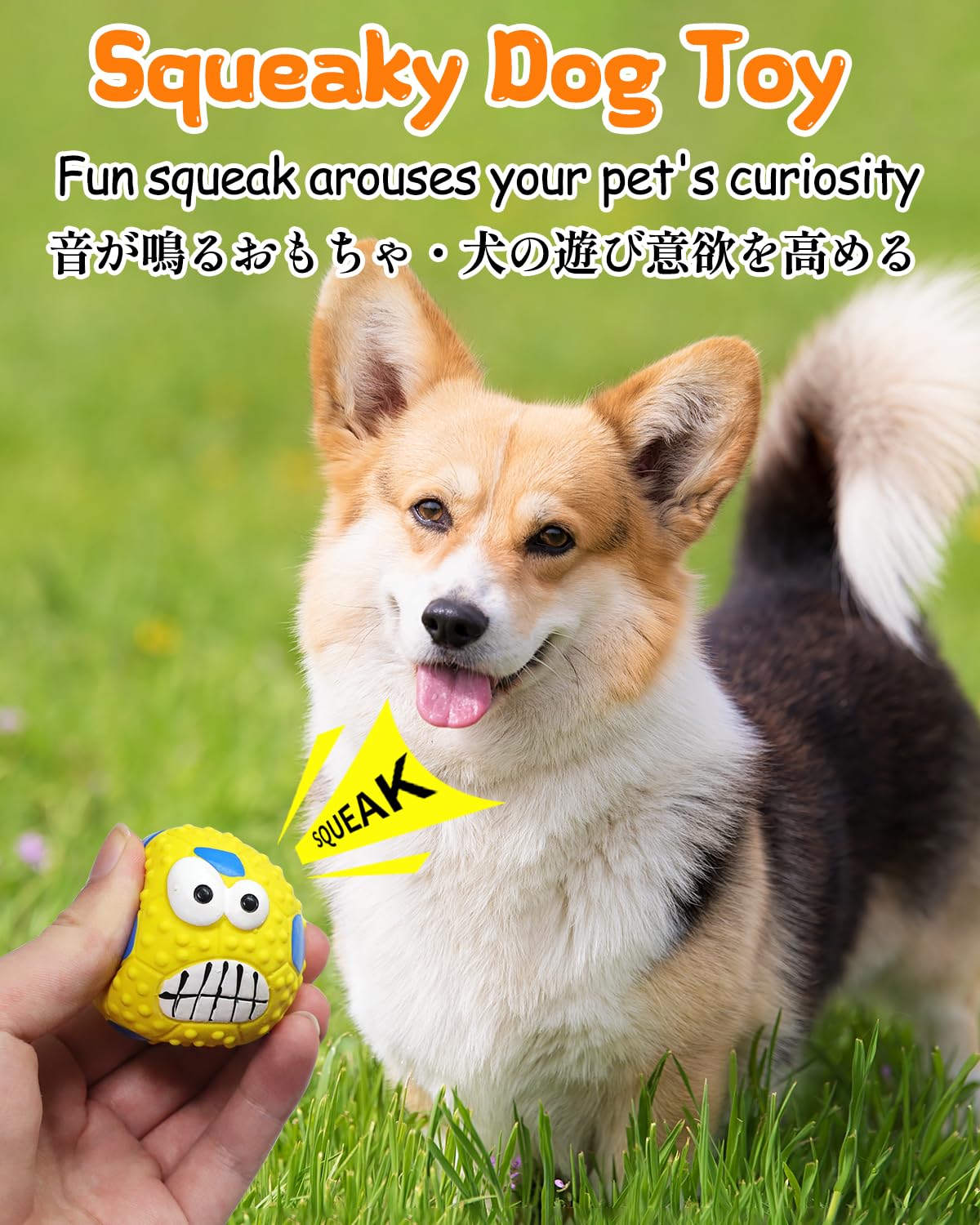 SCHITEC Squeaky Dog Balls, [4 Pack] Cute Interactive Latex Rubber Toys with Squeaker, 2.2'' Soft Bouncy Fetch Ball for Puppy Small Breed Dogs