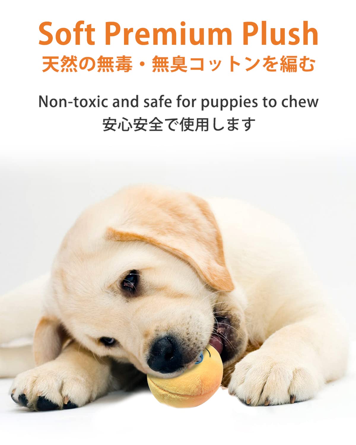 Squeaky Dog Toys, [6 Pack] Soft Stuffed Plush Balls with Squeakers, Interactive Fetch Play for Puppy Small Pets