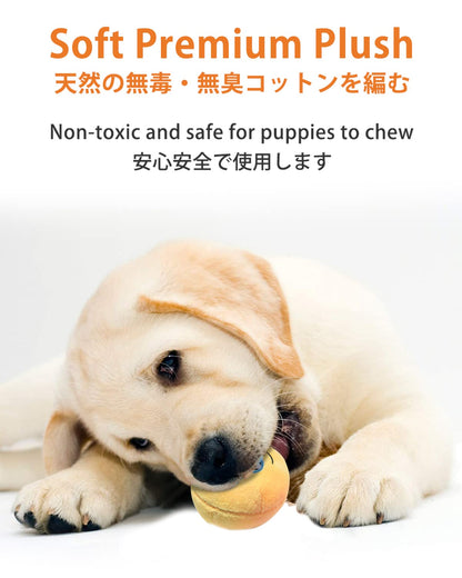 Squeaky Dog Toys, [6 Pack] Soft Stuffed Plush Balls with Squeakers, Interactive Fetch Play for Puppy Small Pets