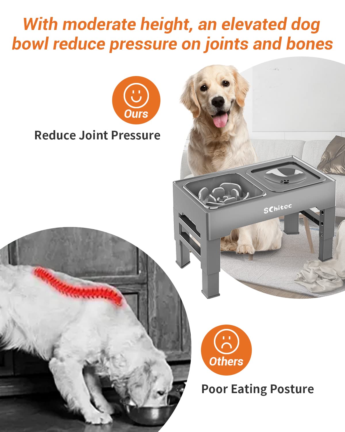 Elevated Dog Bowls, Raised Dog Bowl Stand with Slow Feeder & No Spill Water Bowl, 4 Adjustable Heights for Large Medium and Small Dogs