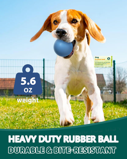 SCHITEC Dog Balls Indestructible, [2 Pack] Solid Rubber Bouncy Fetch Ball for Aggressive Chewers, Durable Chew Toy for Medium Large Dogs