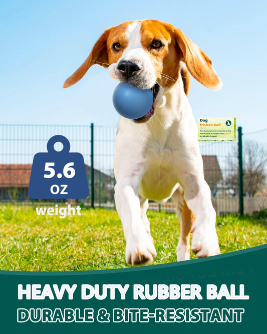 SCHITEC Dog Balls Indestructible, [2 Pack] Solid Rubber Bouncy Fetch Ball for Aggressive Chewers, Durable Chew Toy for Medium Large Dogs