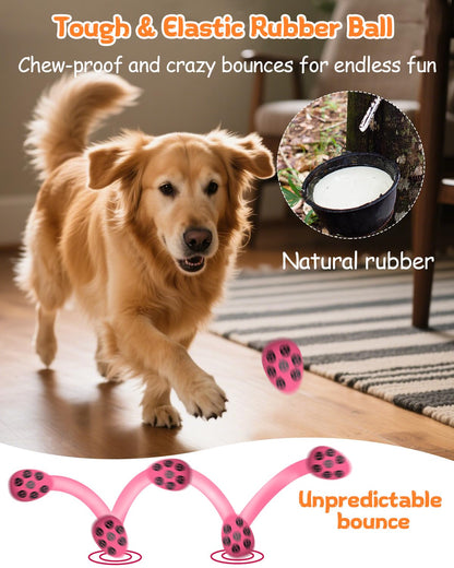 SCHITEC Squeaky Dog Toys for Aggressive Chewers, Tough Rubber Bouncy Balls for Boredom, Durable Pet Chew Toy Ball for Large Medium Breed Dogs (3.4 * 4.5inch)