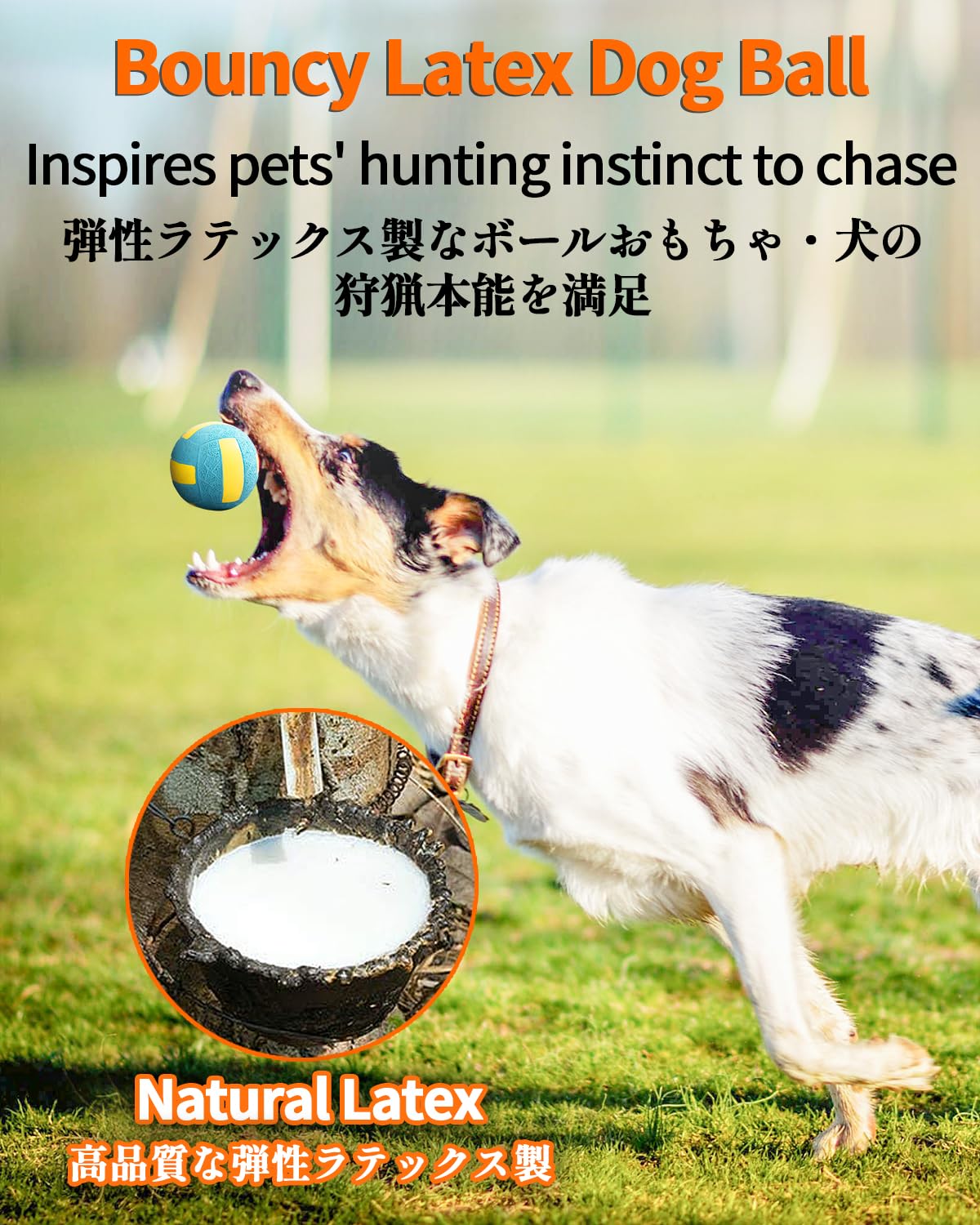 SCHITEC Squeaky Dog Balls, [4 Pack] Interactive Latex Rubber Squeak Dog Toys, 2.4'' Soft Bouncy Fetch Play Ball Toy for Small Dogs Puppies