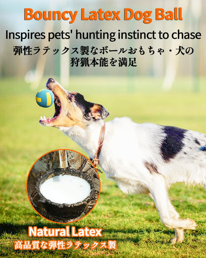 SCHITEC Squeaky Dog Balls, [4 Pack] Interactive Latex Rubber Squeak Dog Toys, 2.4'' Soft Bouncy Fetch Play Ball Toy for Small Dogs Puppies