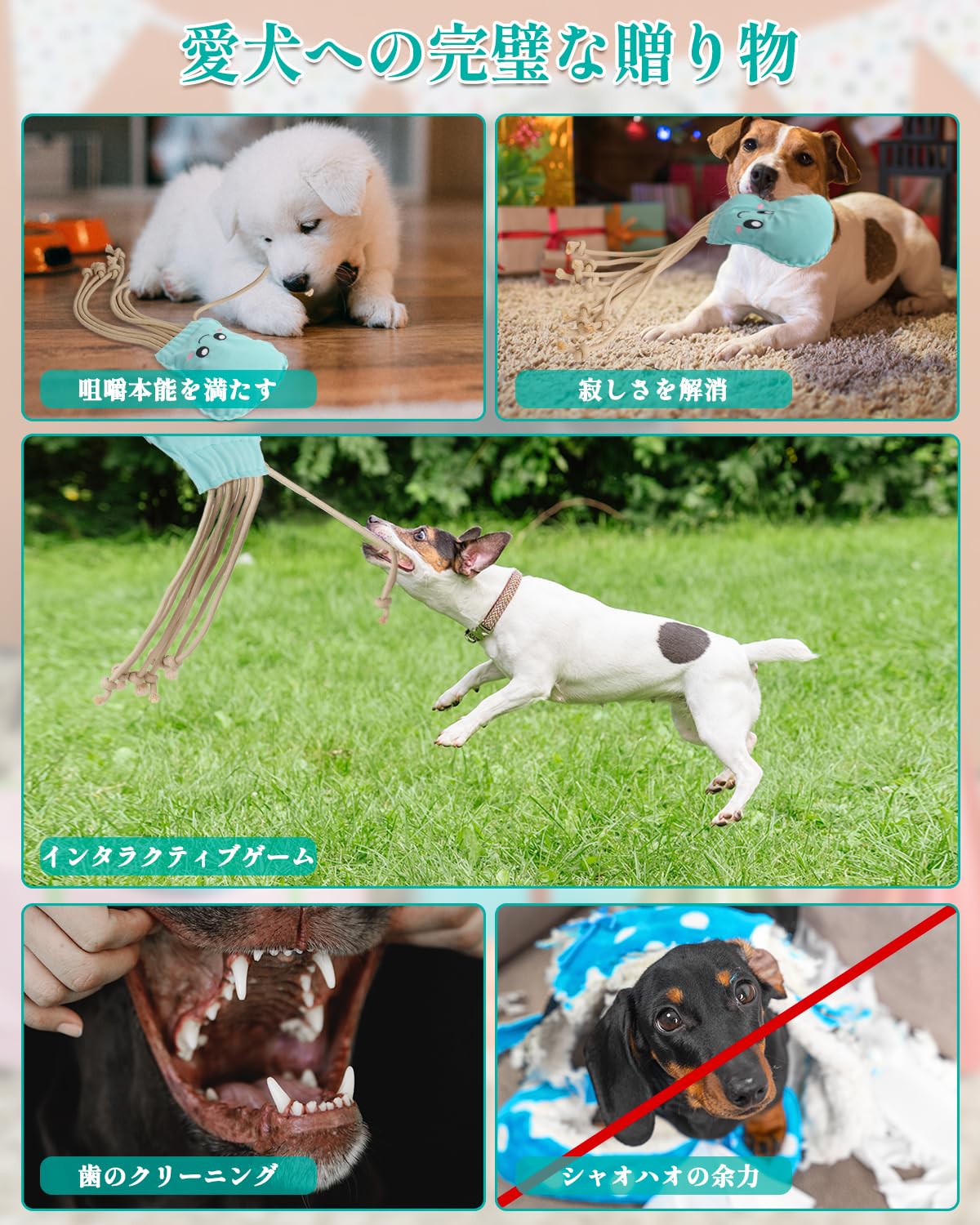 SCHITEC Dog Rope Toys, Plush Crinkle Tug of War Toy for Small Medium Large Dogs, Interactive Octopus Stuffed Chew Toy for Puppy Teething