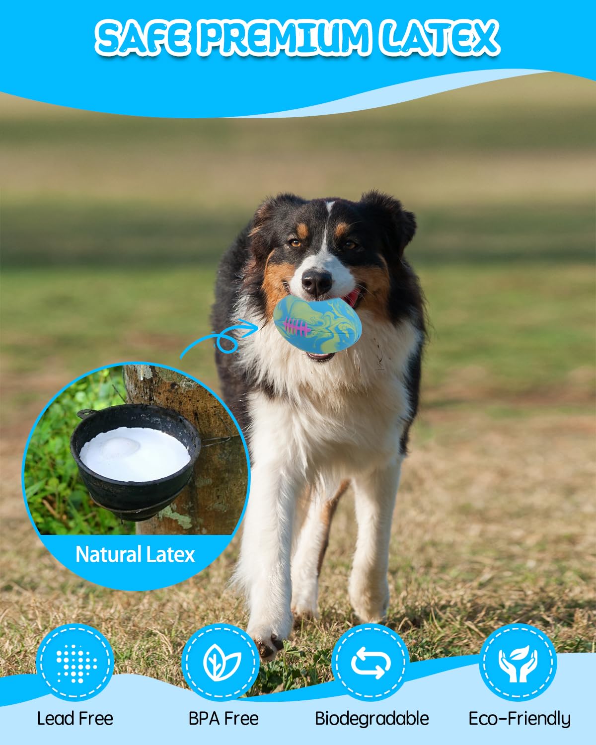 SCHITEC Dog Squeaky Ball Toys, Interactive Pet Balls for Fetch Play, Latex Rubber Football Toy for Medium Large Breed Dogs