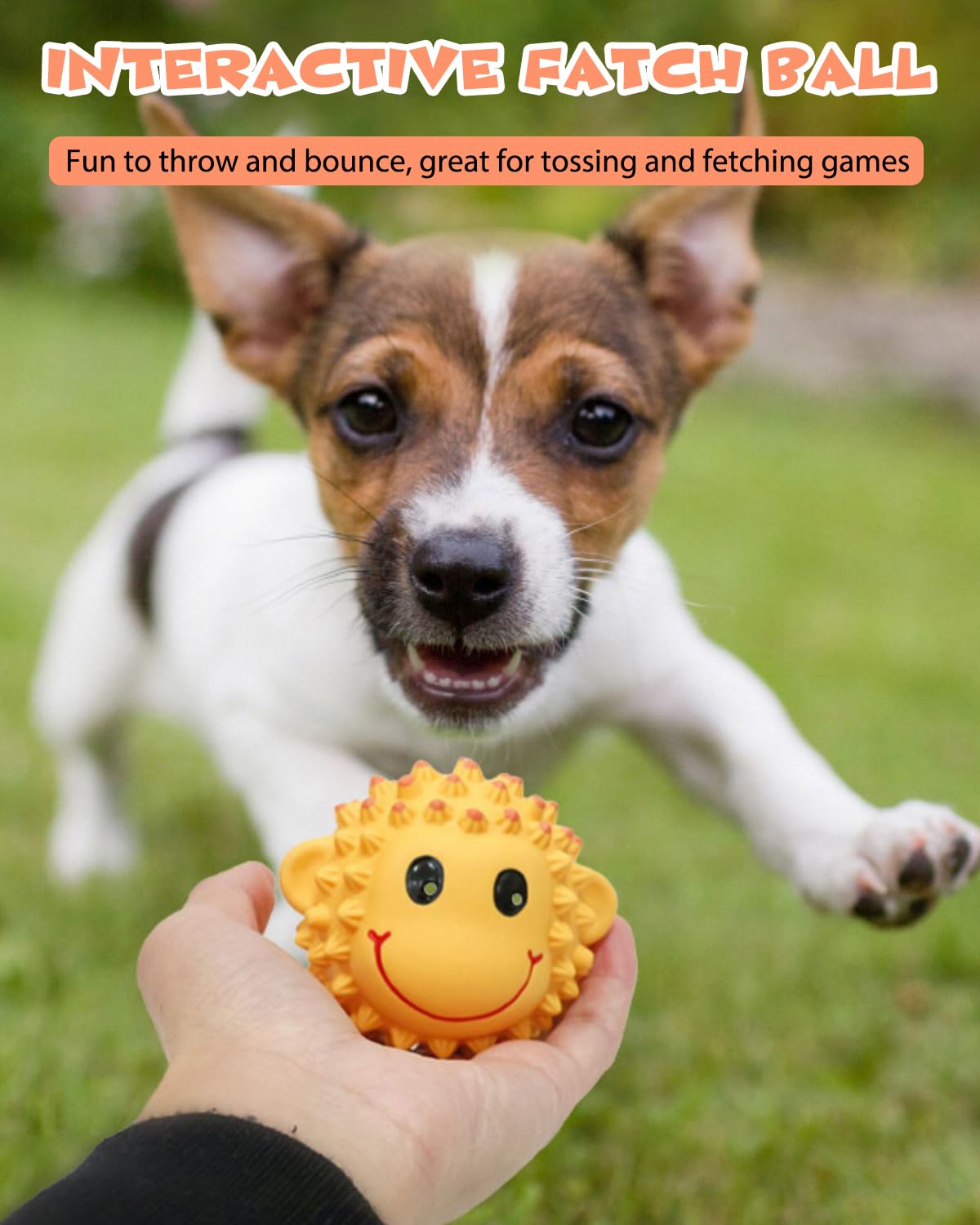 SCHITEC Squeaky Dog Toys, 3'' Interactive Latex Squeak Fetch Play Animal Balls, [2 Pack] Spiky Soft Rubber Puppy Teeth Clean Pet Toy for Small Medium Dogs