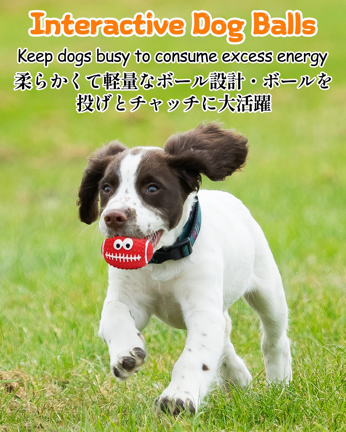 SCHITEC Squeaky Dog Balls, [4 Pack] Cute Interactive Latex Rubber Toys with Squeaker, 2.2'' Soft Bouncy Fetch Ball for Puppy Small Breed Dogs