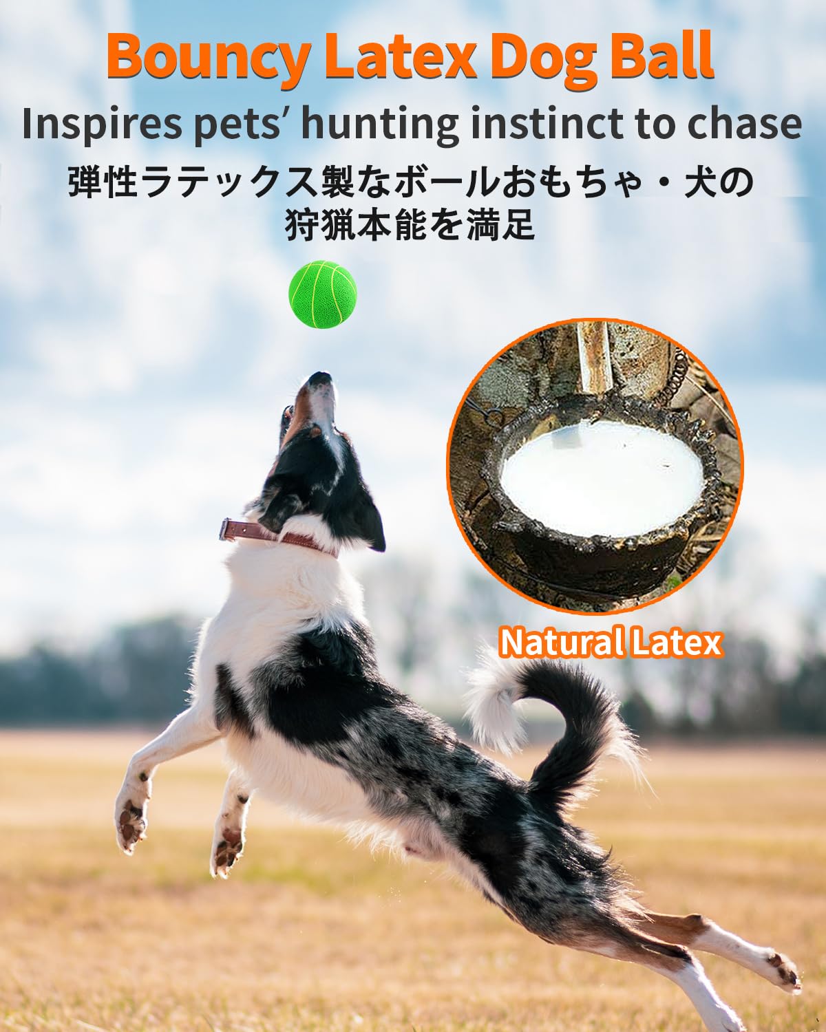 Squeaky Dog Toys, [4 Pack] Interactive Dog Balls with Squeaker for Medium Dogs, 2.8'' Soft Latex Rubber Bouncy Fetch Play Ball Toy