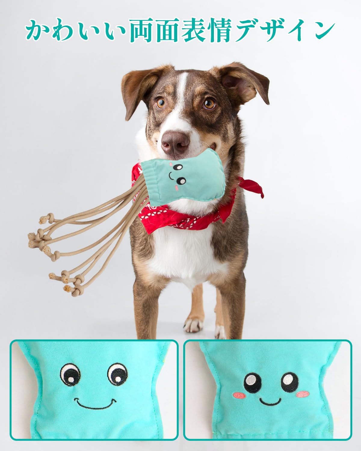 SCHITEC Dog Rope Toys, Plush Crinkle Tug of War Toy for Small Medium Large Dogs, Interactive Octopus Stuffed Chew Toy for Puppy Teething