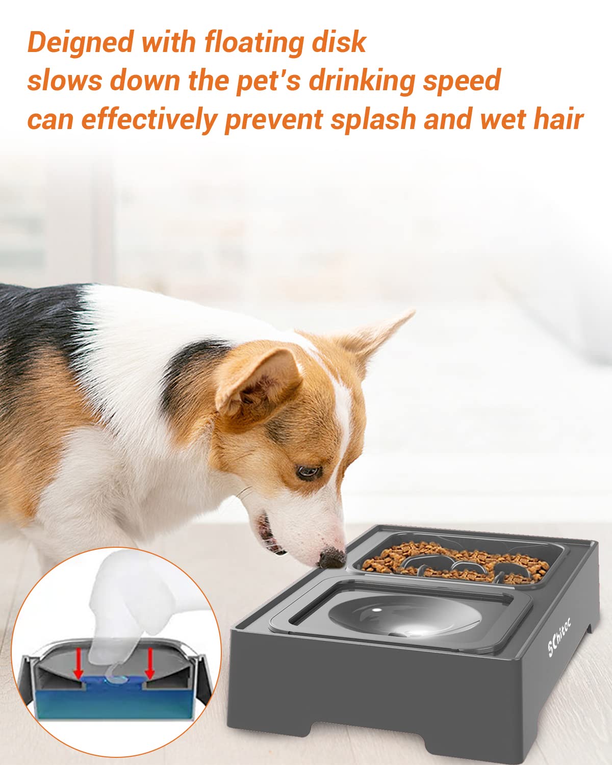 Elevated Dog Bowls, Raised Dog Bowl Stand with Slow Feeder & No Spill Water Bowl, 4 Adjustable Heights for Large Medium and Small Dogs