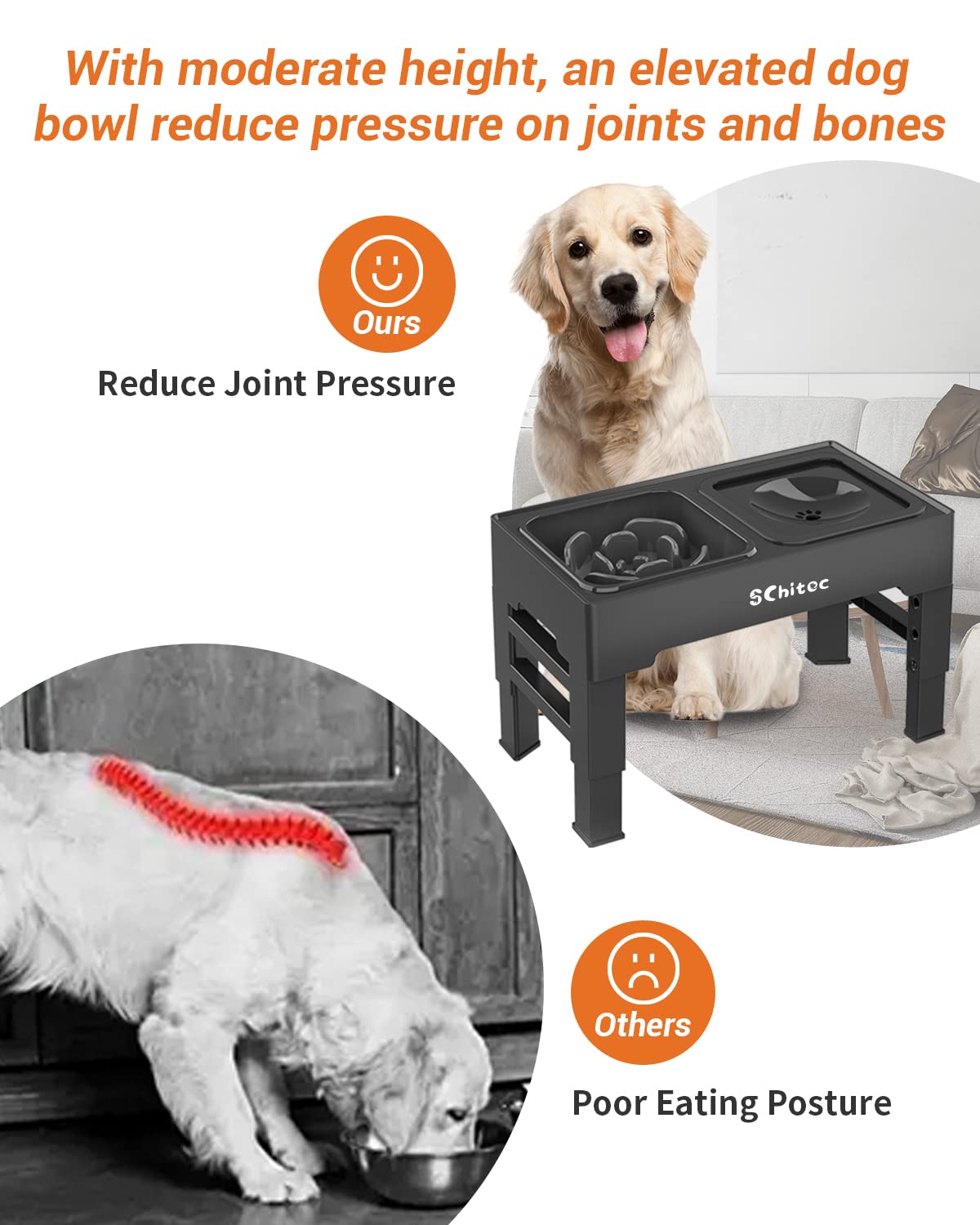 Elevated Dog Bowls, Raised Dog Bowl Stand with Slow Feeder & No Spill Water Bowl, 4 Adjustable Heights for Large Medium and Small Dogs