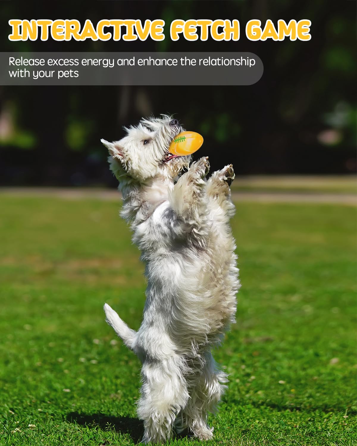 SCHITEC Dog Squeaky Toy Balls, Interactive Squeak Puppy Balls for Fetch Play, Latex Rubber Pet Toy for Puppies Mini Breed Small Dogs