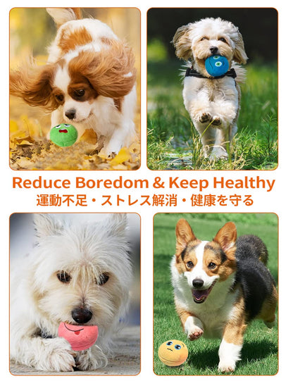 Squeaky Dog Toys, [6 Pack] Soft Stuffed Plush Balls with Squeakers, Interactive Fetch Play for Puppy Small Pets